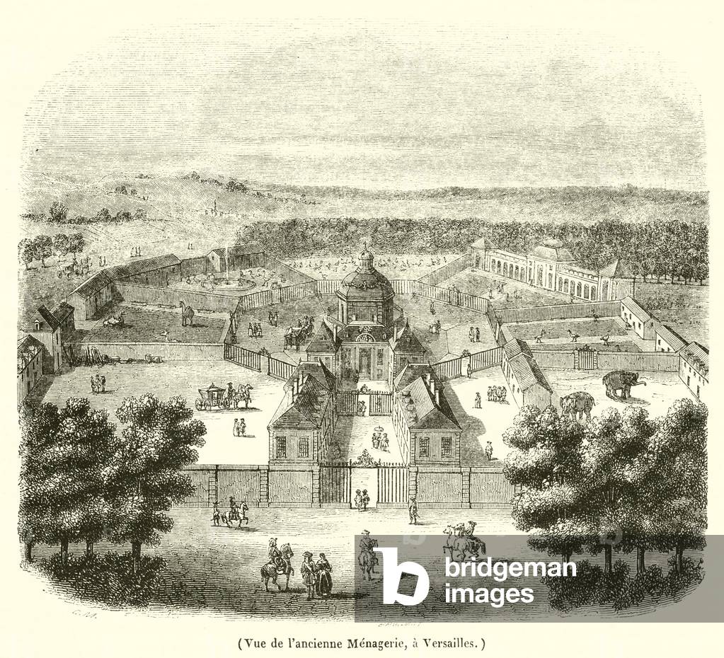 Vue de l'ancienne Menagerie, a Versailles (engraving)
