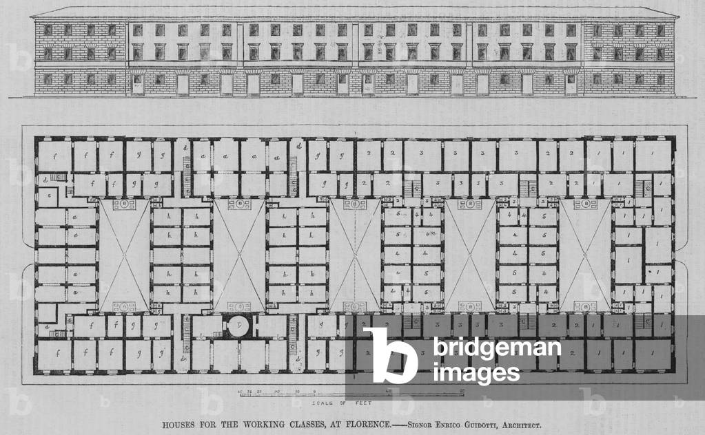 Houses for the Working Classes, at Florence (engraving)