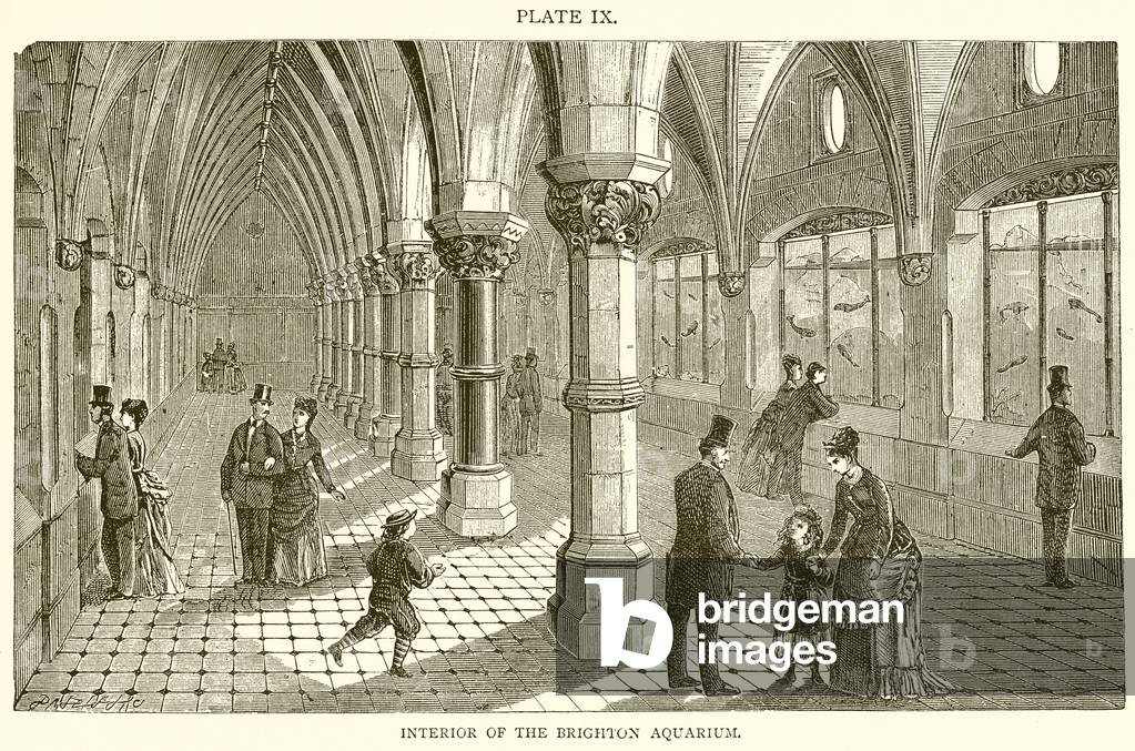 Interior of the Brighton Aquarium (engraving)