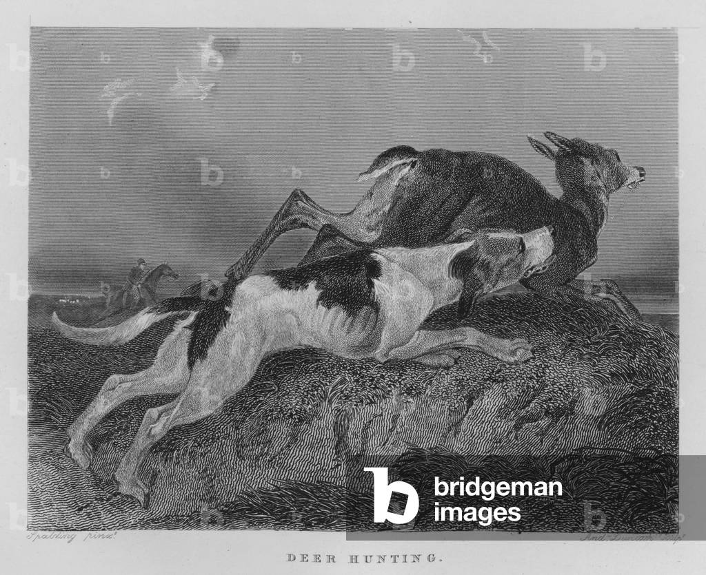 Deer Hunting (engraving)