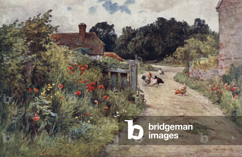 The Guise of Summer (colour litho)