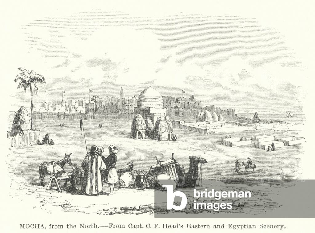 Mocha, from the North (engraving)
