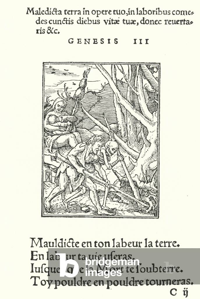The Curse upon Earth and on Man (engraving)