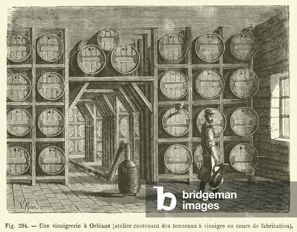 Une vinaigrerie a Orleans, atelier contenant des tonneaux a vinaigre en cours de fabrication (engraving)