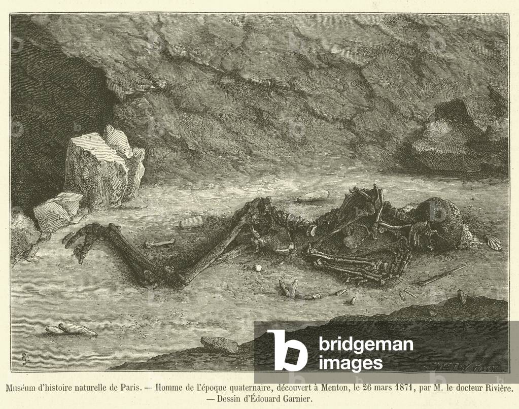 Museum d'histoire naturelle de Paris (engraving)