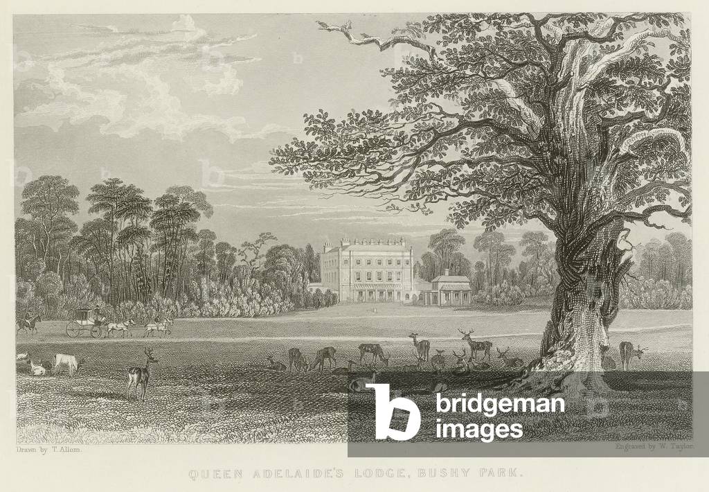 Queen Adelaide's Lodge (engraving)
