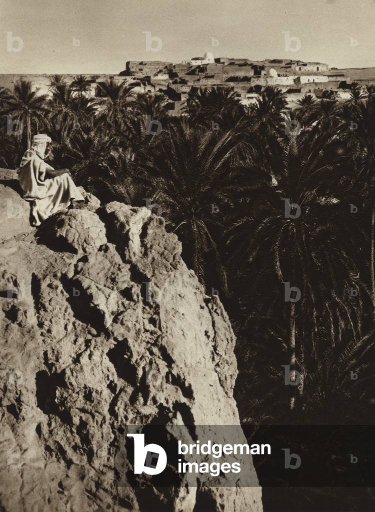 Nefta Oasis (b/w photo)