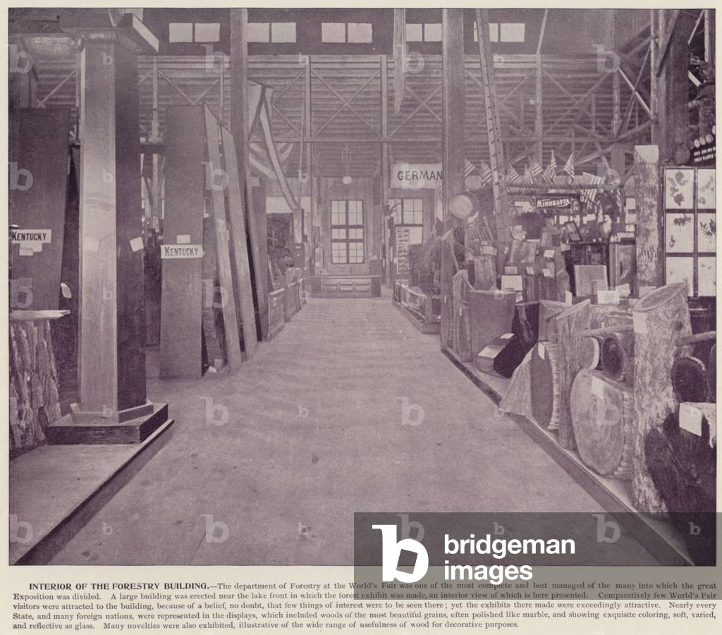 Chicago World's Fair, 1893: Interior of the Forestry Building (b/w photo)