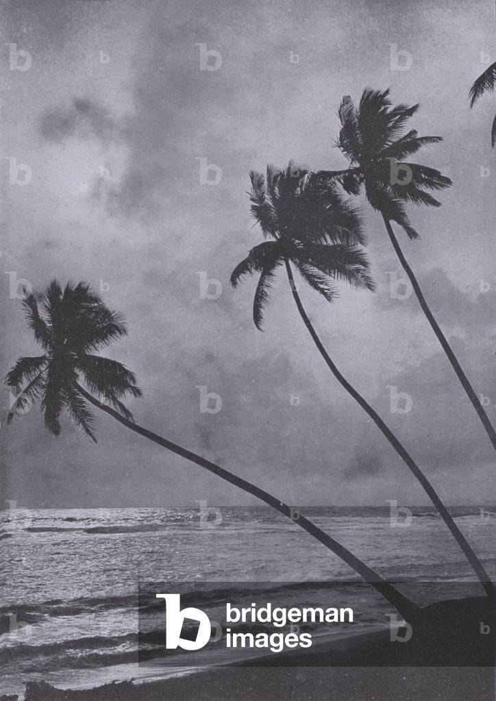 A Familiar Scene at the Seaside (b/w photo)