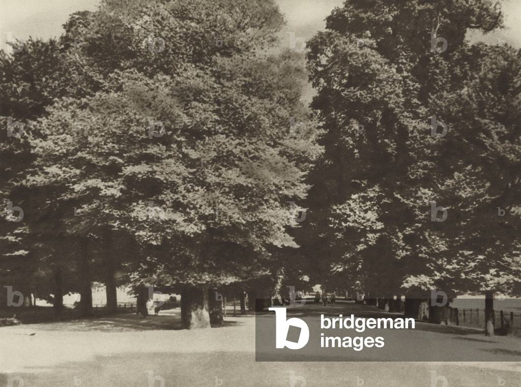 Broad Walk, Christ Church, Meadows (b/w photo)