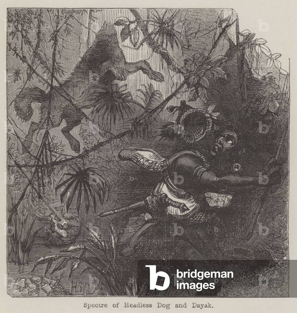 Spectre of Headless Dog and Dayak (engraving)