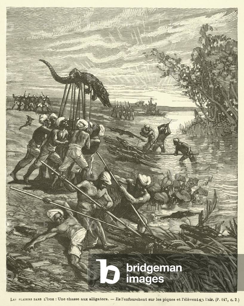 Les Plaisirs Dans L'Inde, Une chasse aux alligators (engraving)