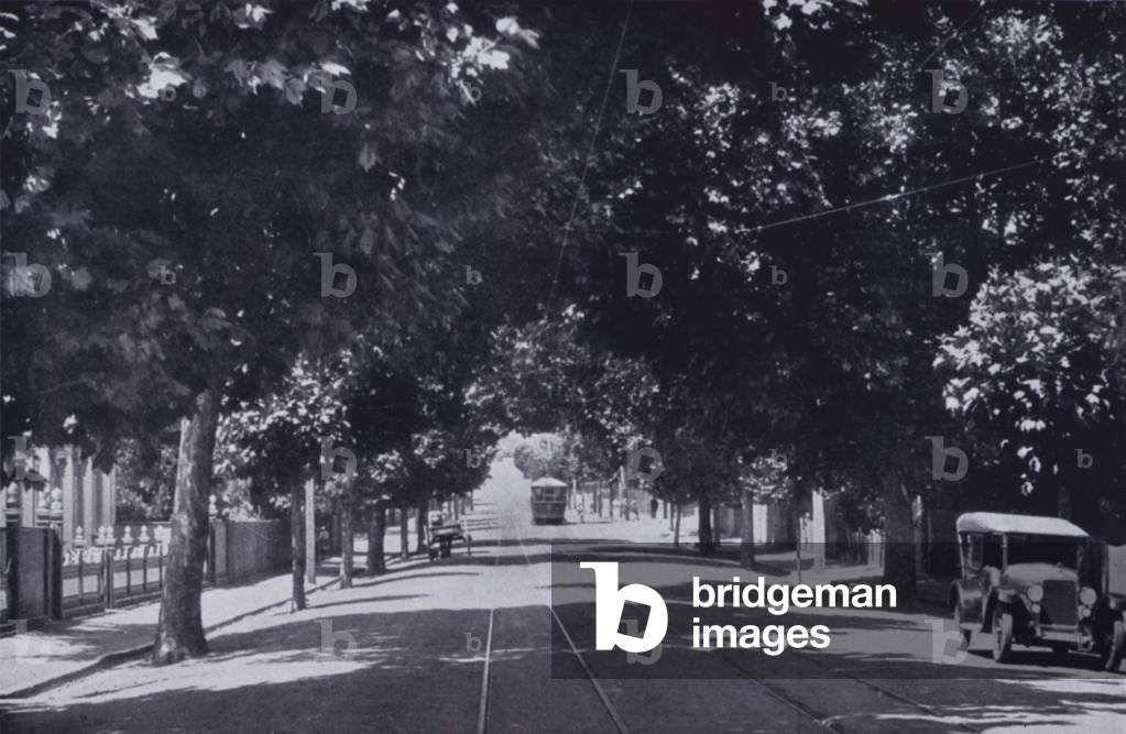 The Elphin Road, Launceston (b/w photo)