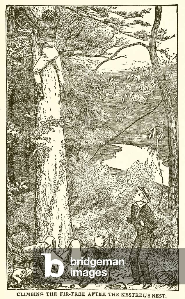 Tom Brown's School Days (engraving)