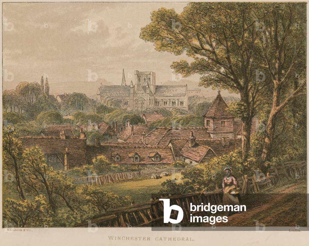 Winchester Cathedral (coloured engraving)