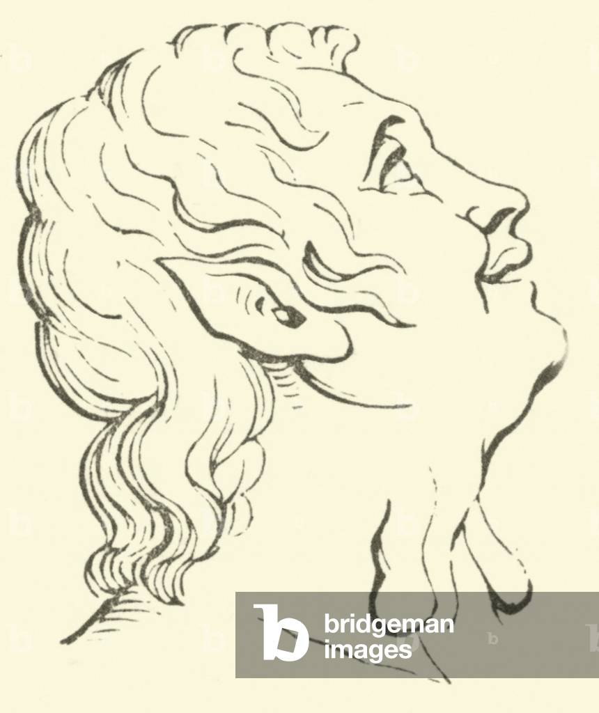 Lacinia (engraving)