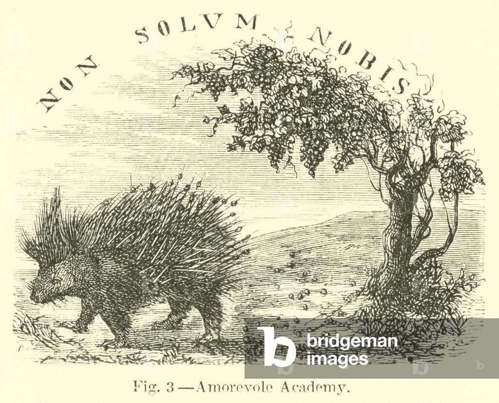 Amorevole Academy (engraving)