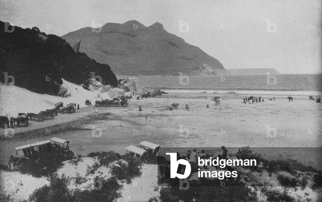 South Africa: Hout Bay (b/w photo)