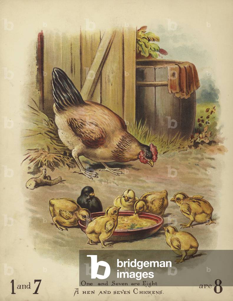 A Hen and Seven Chickens (chromolitho)
