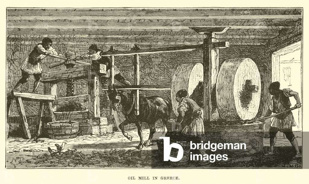 Oil mill in Greece (engraving)