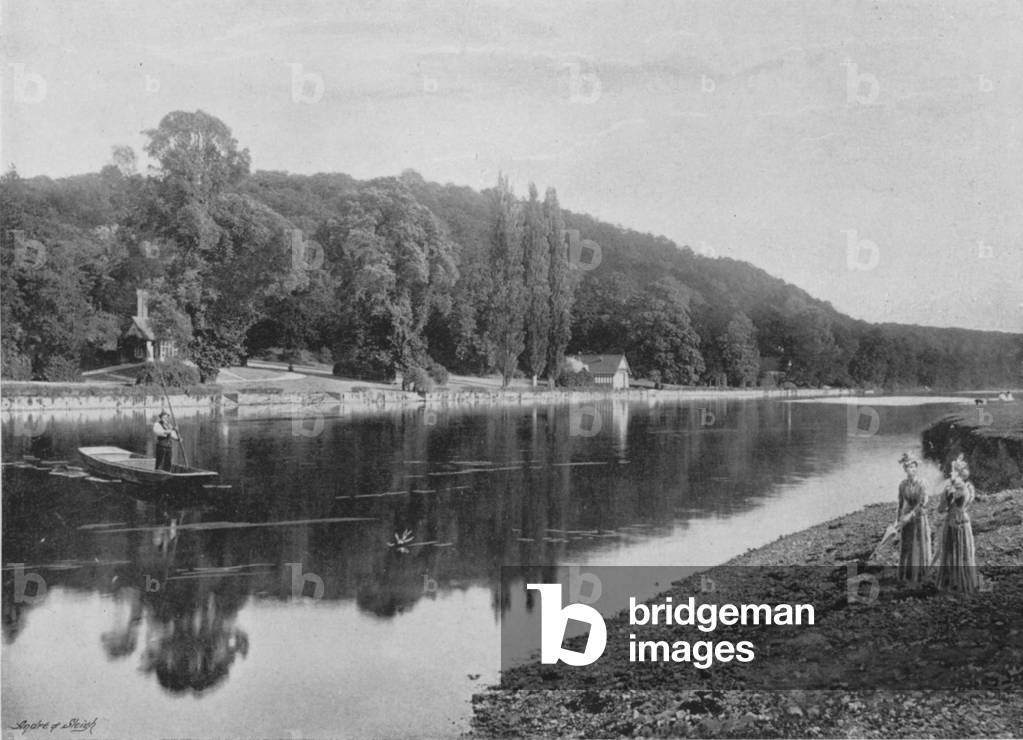 Cliefden Woods (b/w photo)