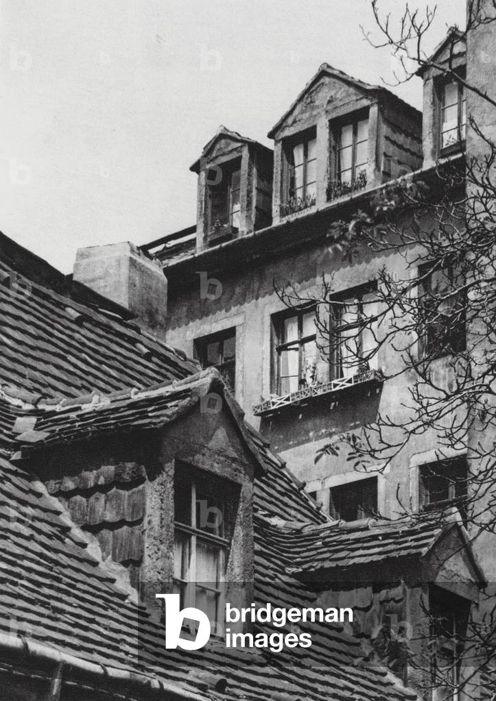 Dresden: Across the River; Winkel In Dresden-Neustadt (b/w photo)