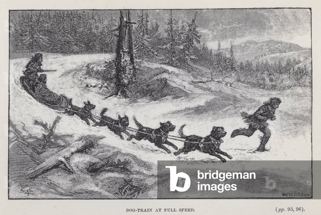 Dog-train at full speed (engraving)