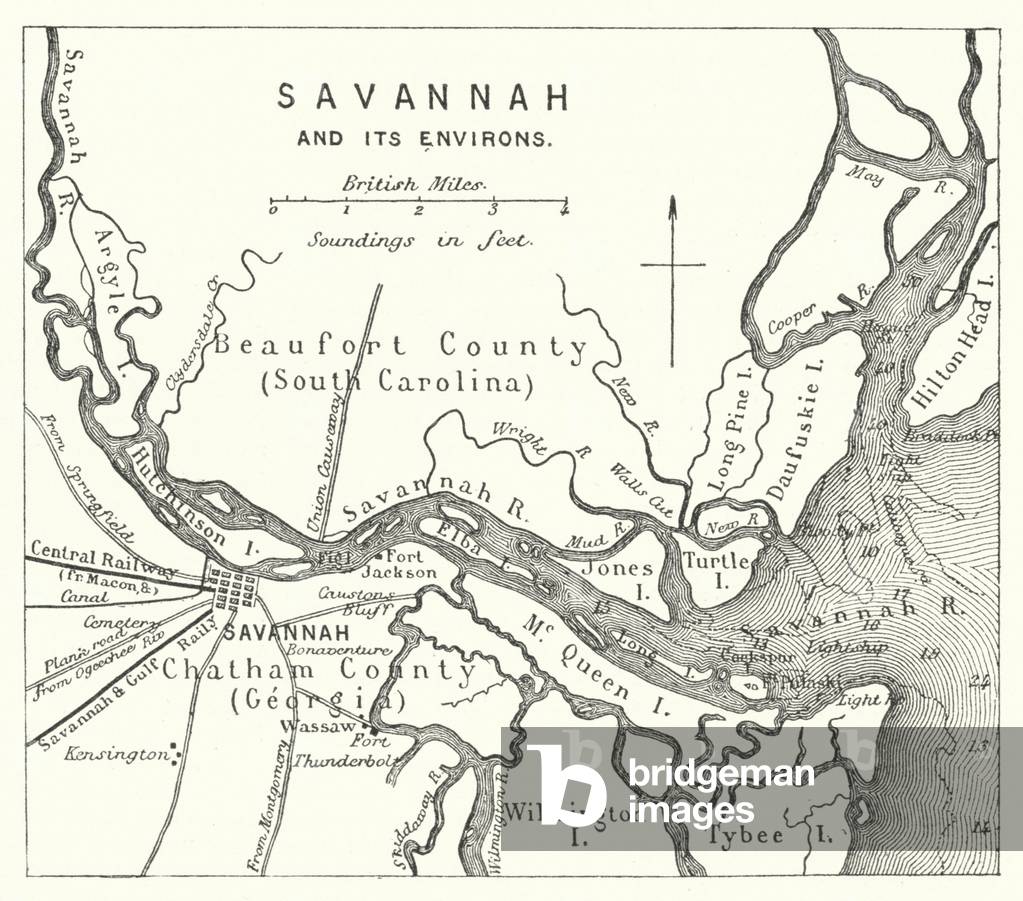 Savannah and its Environs (engraving)