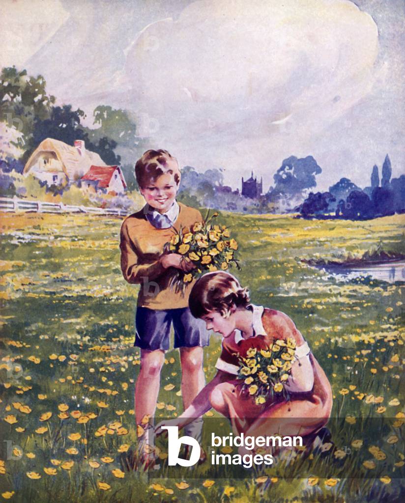 Buttercup meadow (colour litho)