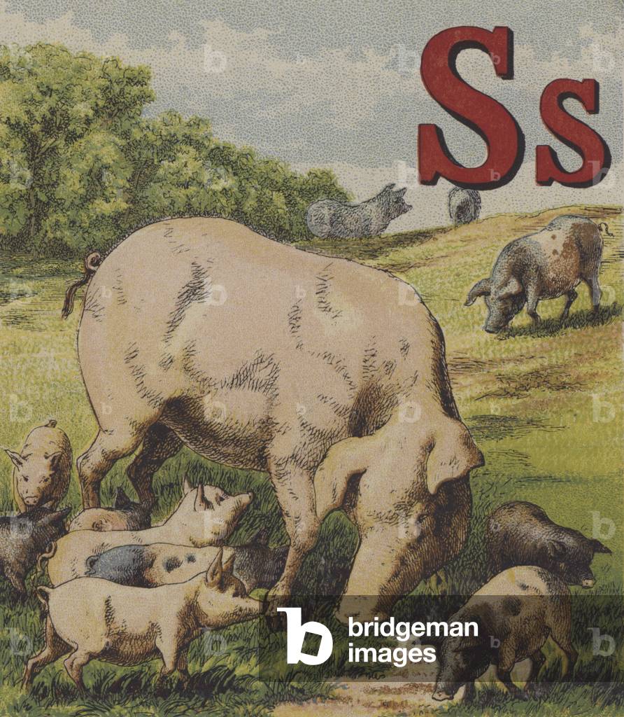 Illustration for John Bulls Farm Alphabet (colour litho)