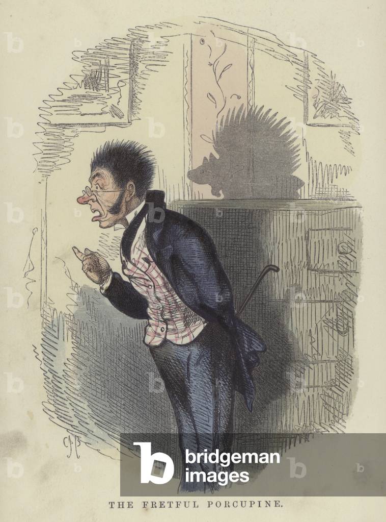 The fretful porcupine (coloured engraving)