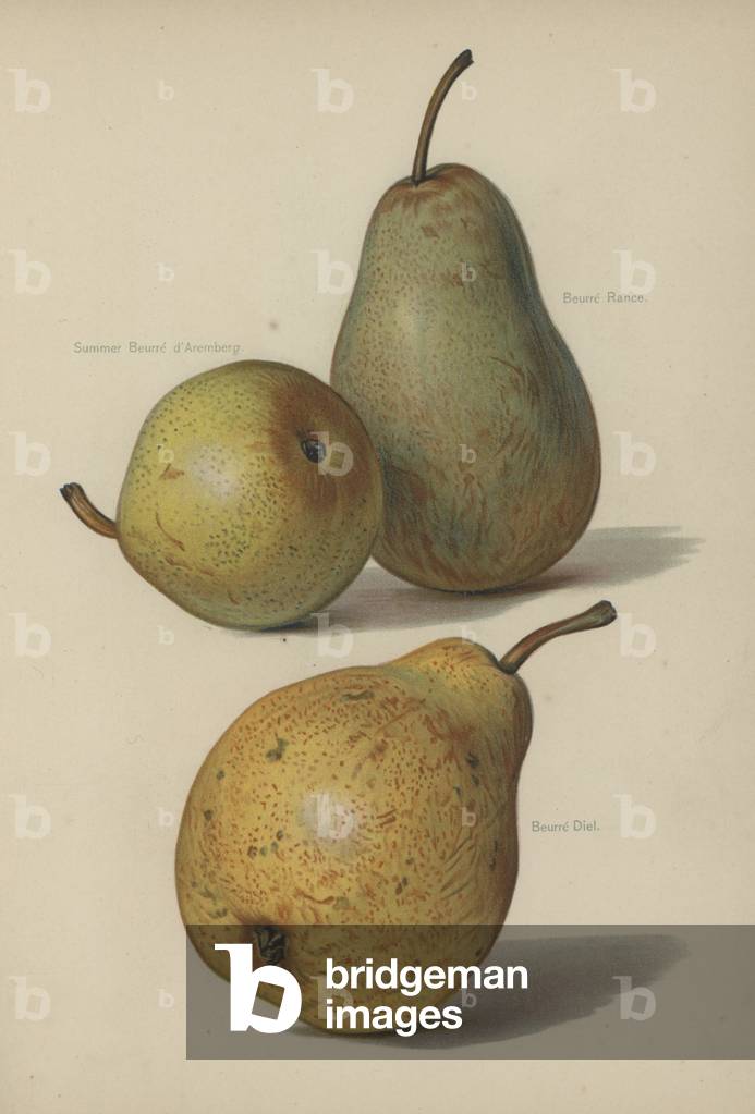 Summer Beurre d'Aremberg, Beurre Rance, Beurre Diel (chromolitho)