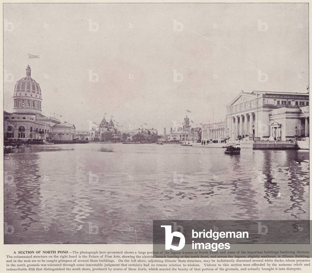 Chicago World's Fair, 1893: A Section of North Pond (b/w photo)