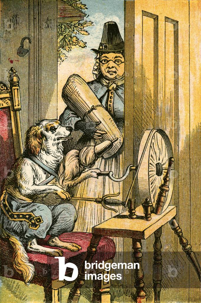 The dog spinning
