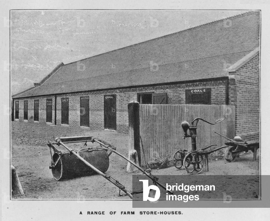 Whiteley's Farms: A range of farm store-houses (b/w photo)