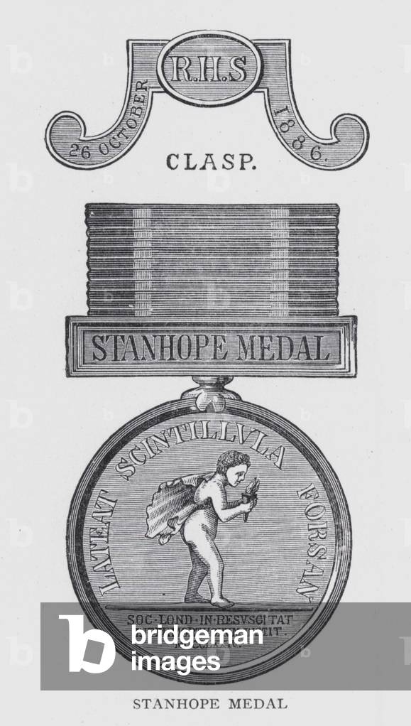 Stanhope medal (litho)