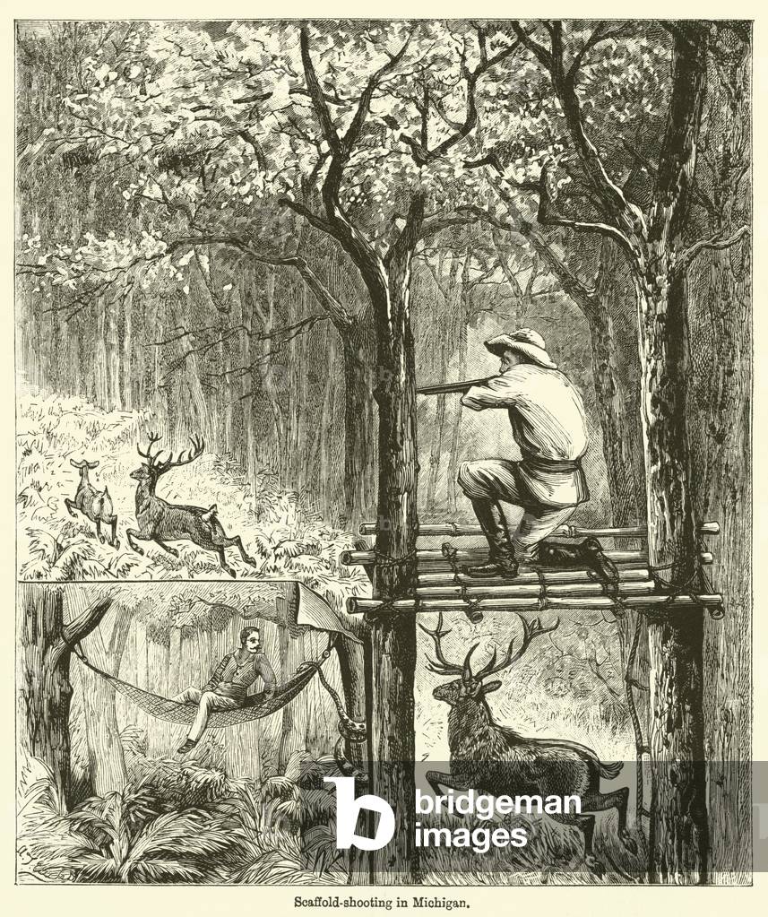 Scaffold-shooting in Michigan (engraving)