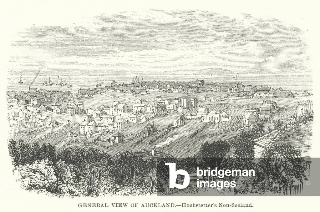 General View of Auckland (engraving)