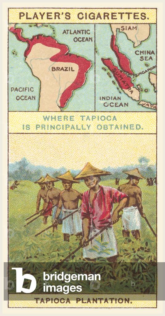 Tapioca (chromolitho)