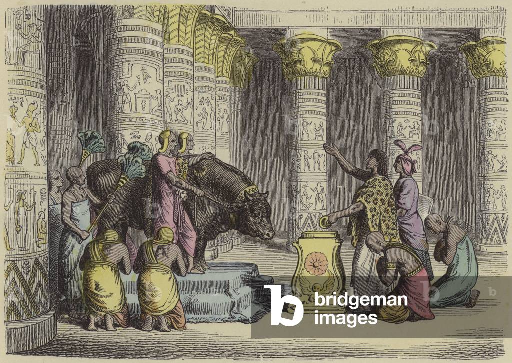 Worship of the Apis Bull in Ancient Egypt (coloured engraving)