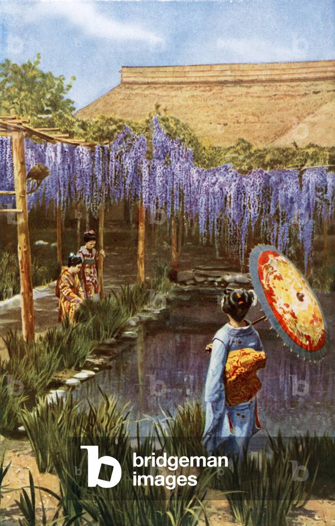 Japanese garden (colour photo)