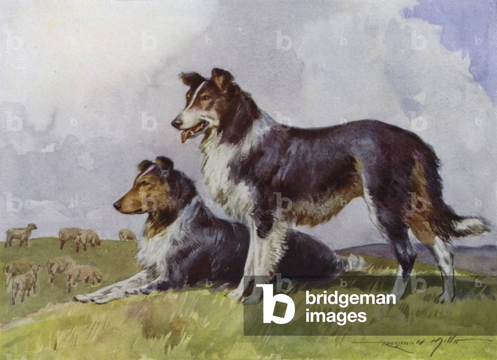 Illustration for My Farm (colour litho)