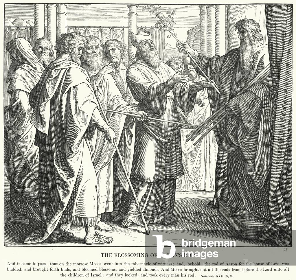 The Blossoming of Aaron's Rod (engraving)