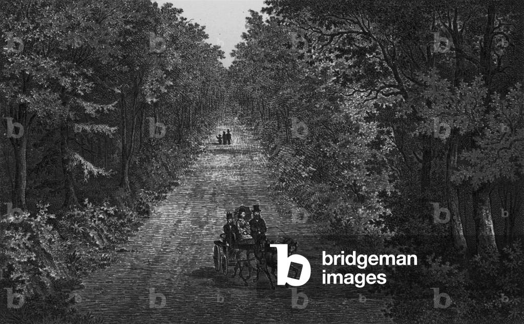 The Hobby Drive, Clovelly (litho)