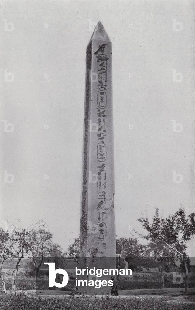 Egypt: The Obelisk of Heliopolis (b/w photo)