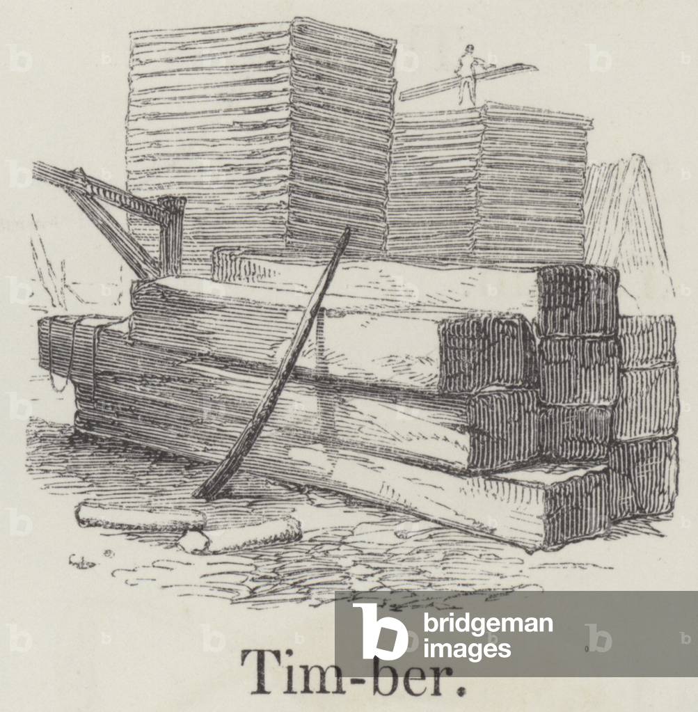 Timber (engraving)