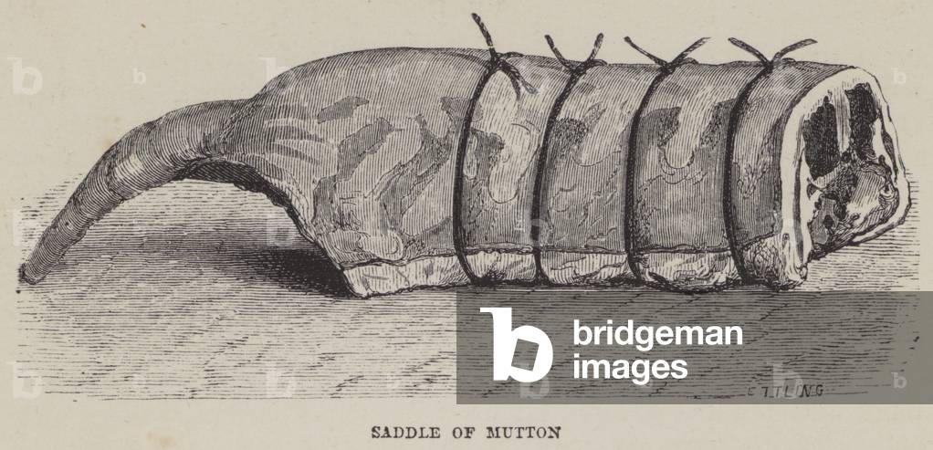 Saddle of Mutton (engraving)