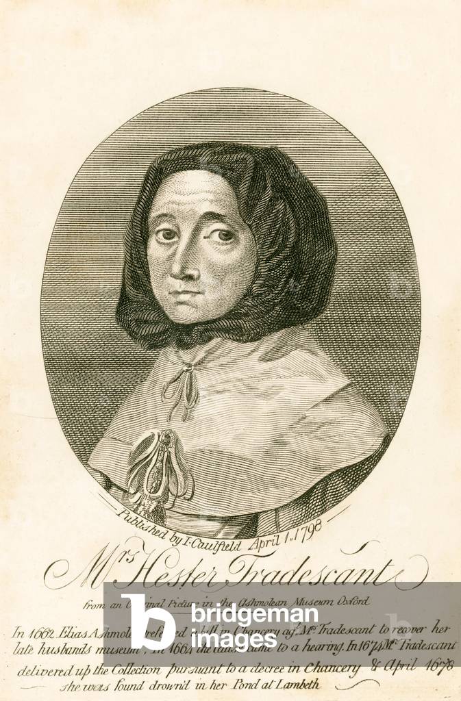 Mrs Hester Tradescant (engraving)