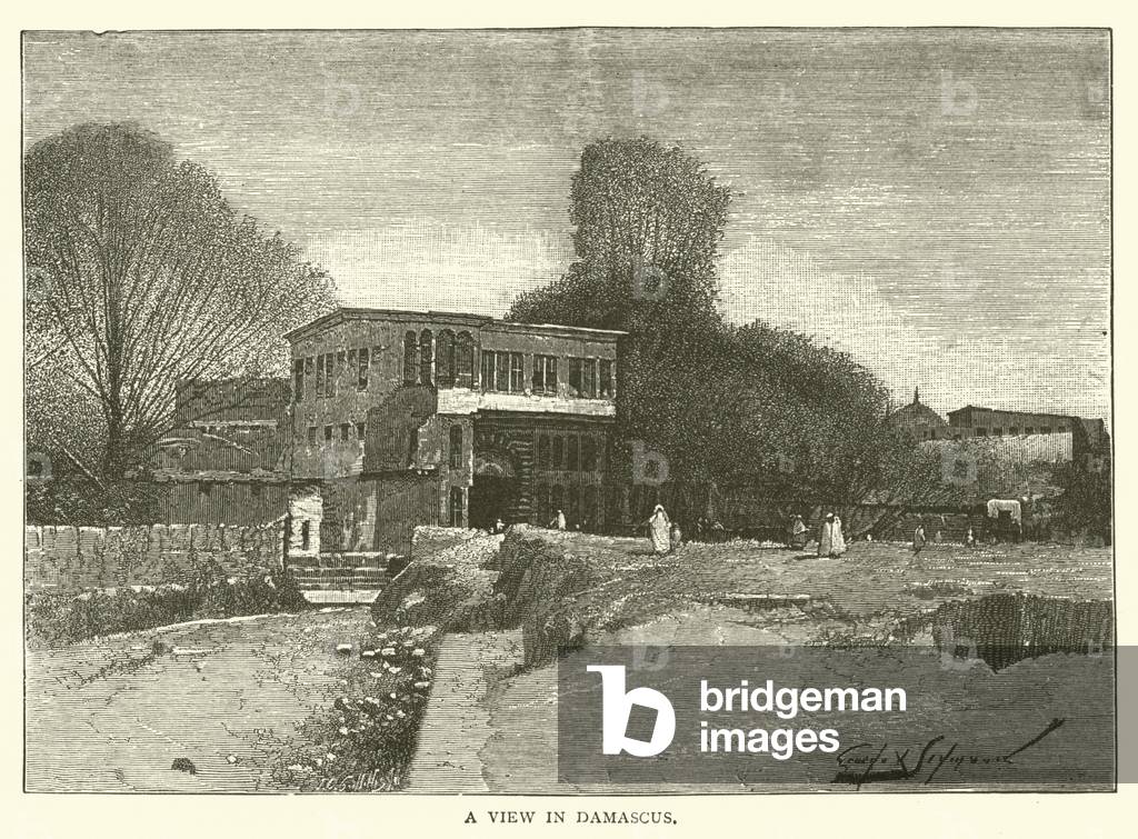 A view in Damascus (engraving)