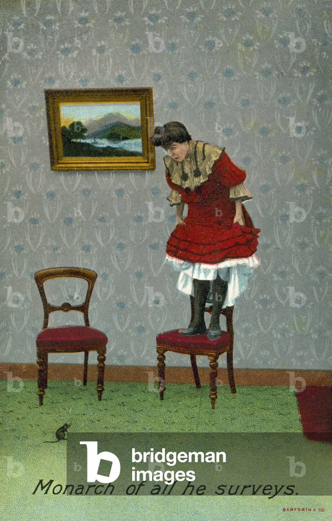 Monarch of all he surveys (colour photo)